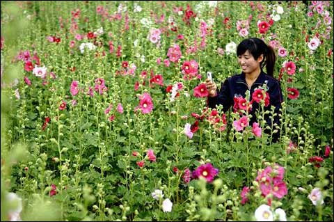 太阳集团tyc_于正炮轰邱泽:艺人应以德为先 网友直指吴谨言(图3) 太阳成集团tyc