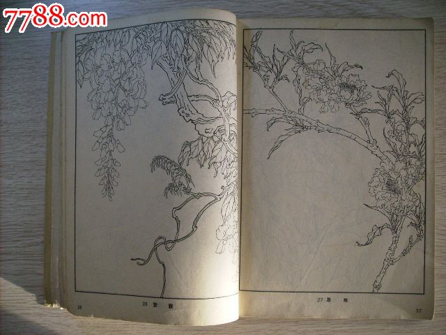 太阳成集团tyc:刘媛媛受邀《绿色空间》 拍节水广告谈环保技巧(图3) 太阳集团tyc