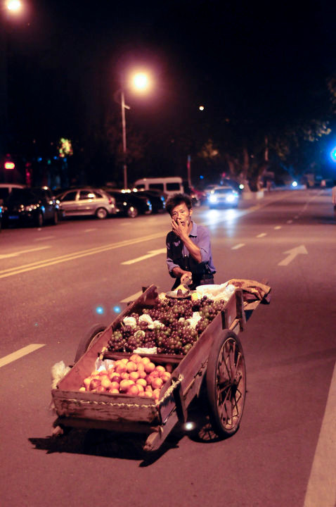 太阳成官网-冬青种类多样各规格冬青球价格报价(图4) 太阳集团tyc