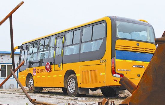 太阳成官网-冬青种类多样各规格冬青球价格报价(图3) 太阳集团tyc