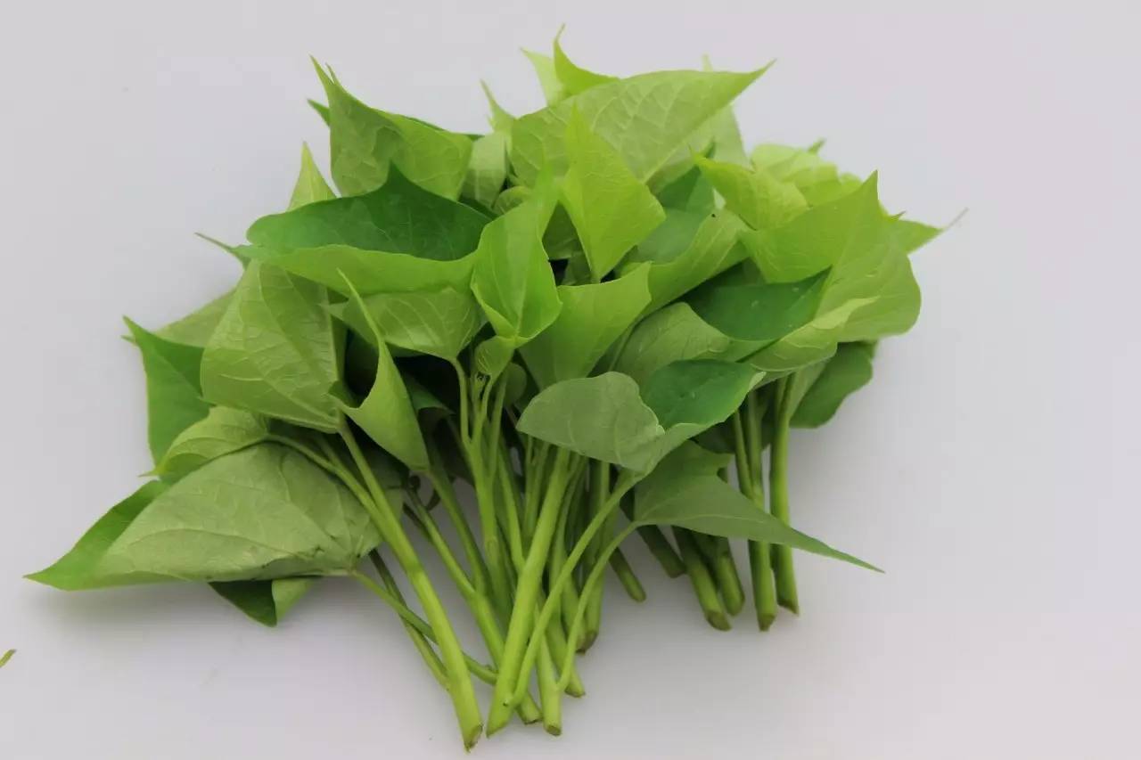 《仲夏满天心》无锡杀青 许魏洲实力解锁新人物-太阳成集团tyc(图4) 太阳成官网