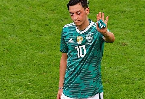 扁豆种子怎么挑选?育苗方法有哪些?“太阳集团tyc”(图3) 太阳成官网