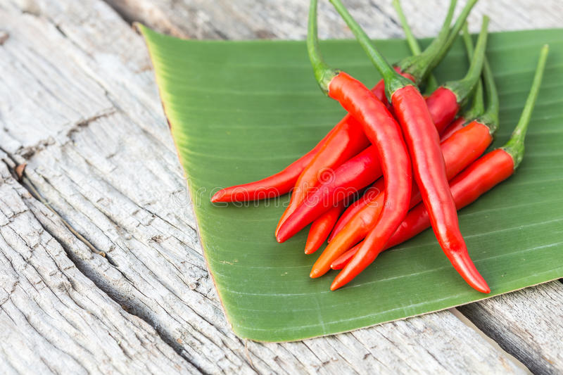 遭《奋斗》冷落缺席全国宣传 沈芳熙却因主题曲成为焦点“太阳成集团tyc”(图2) 太阳成集团tyc