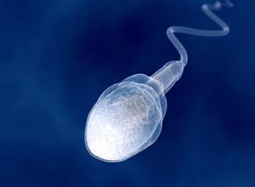 太阳集团tyc_将来我国畜牧养殖业的发展需做好这三个方面(图2) 太阳成集团tyc