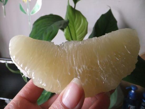 合作新领域 丰田斯巴鲁研发纯电动乘用车平台‘太阳集团tyc’(图3) 太阳成集团tyc