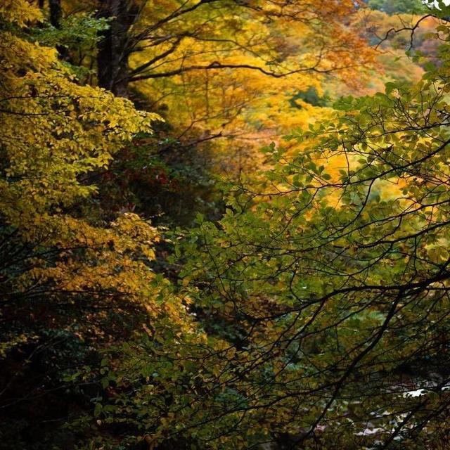 余男最新写真曝光 “西装杀”造型可柔可飒【太阳成集团tyc】(图4) 太阳集团tyc