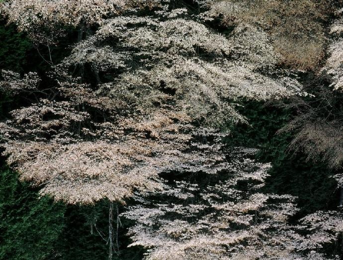 太阳成集团tyc|大暑时节的习俗有哪些?关于大暑你知多少?(图3) 太阳集团tyc