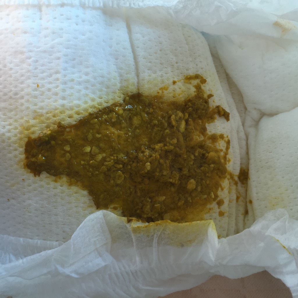 太阳成官网-合作社变股份制养殖小区成牧场(图2) 太阳成集团tyc