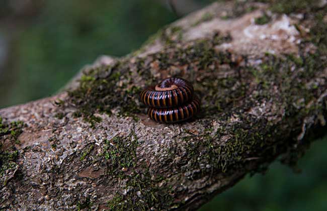 太阳集团tyc|苏青扫楼开设运动小课堂 游戏互动逗趣十足(图2) 太阳集团tyc